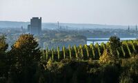 Bonn