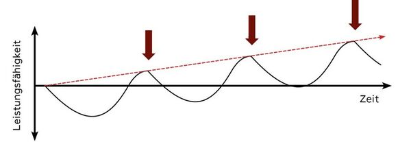 Optimaler Trainingsreiz bei Peak in der Superkompensationskurve