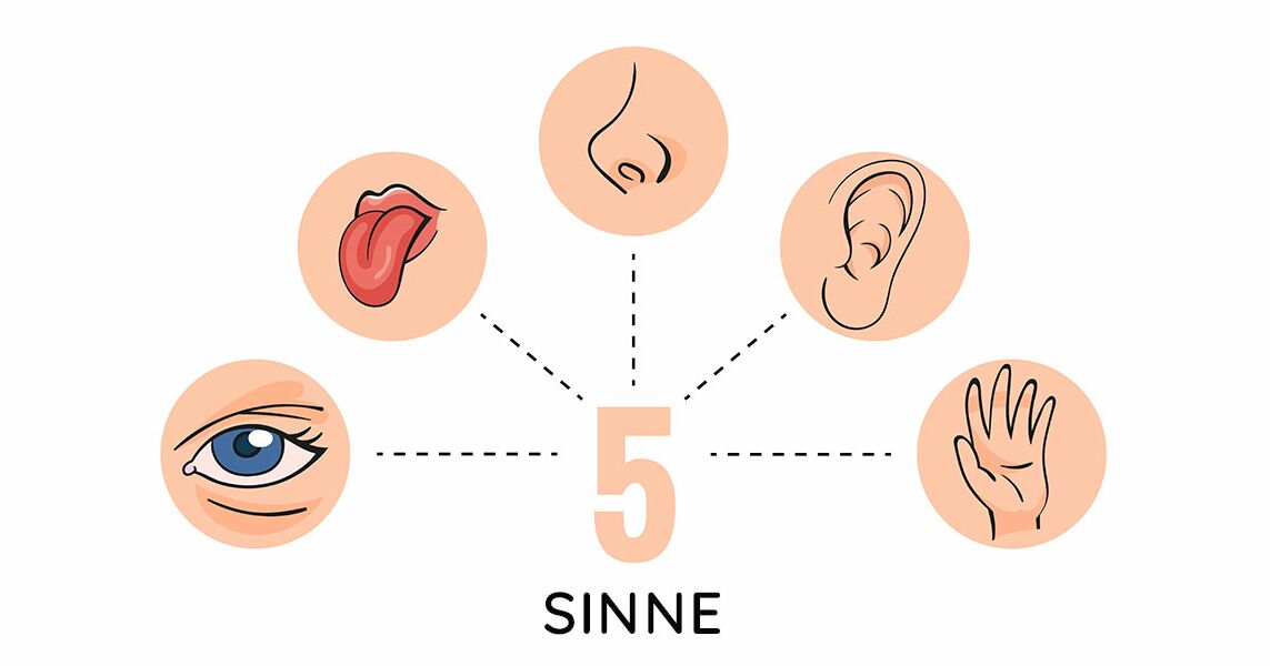 5 Sinne kinästhetisch, visuell, akustisch, taktil & vestibulär