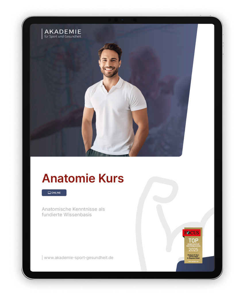 Informationsbroschüre Anatomie Kurs
