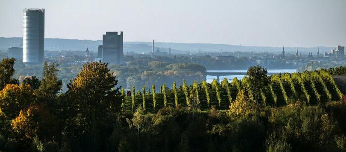 Bonn, Ausbildung, Akademie