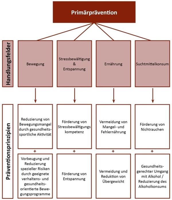 Handlungsfelder der Primärprävention nach dem Leitfaden Prävention