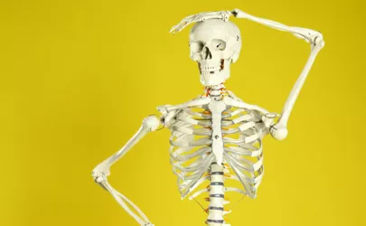 Ein menschliches Skelett hebt sich den Kopf vor gelbem Hintergrund