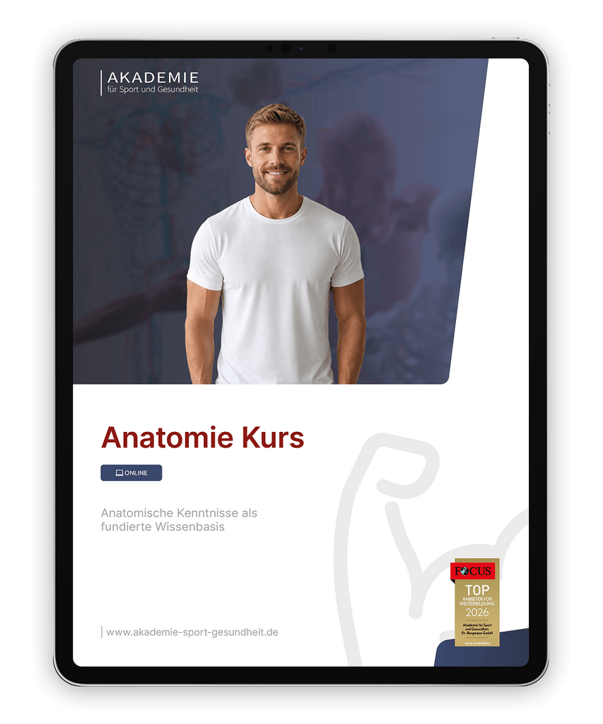 Informationsbroschüre Anatomie Kurs