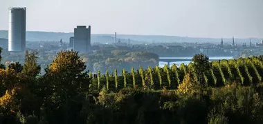 Aussicht auf die Stadt Bonn