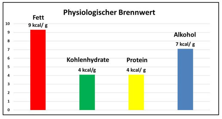 Das Ernährungstagebuch | inklusive kostenloser Vorlage zum ...