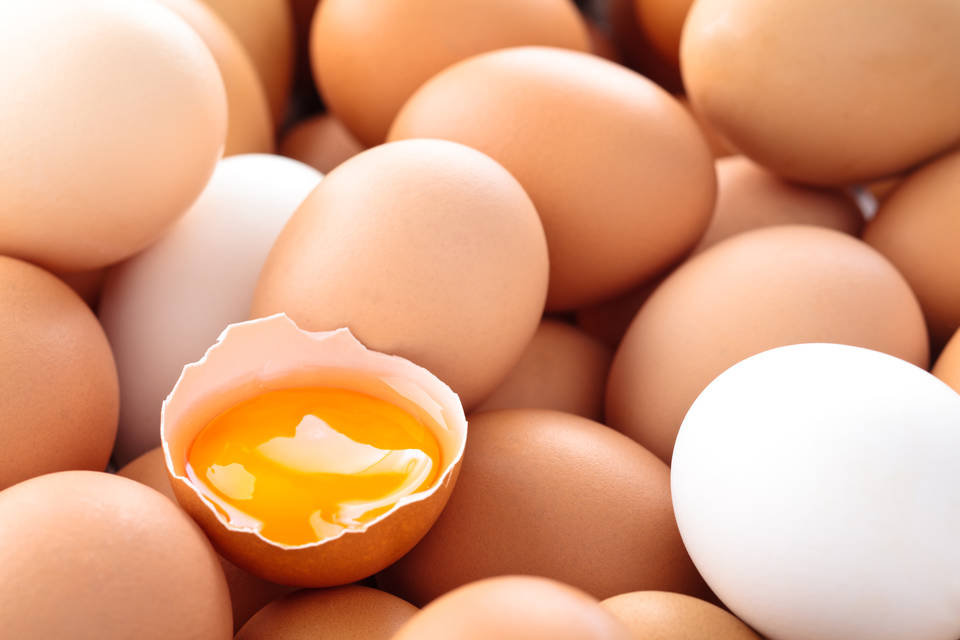 Bildergebnis fÃ¼r biologische wertigkeit