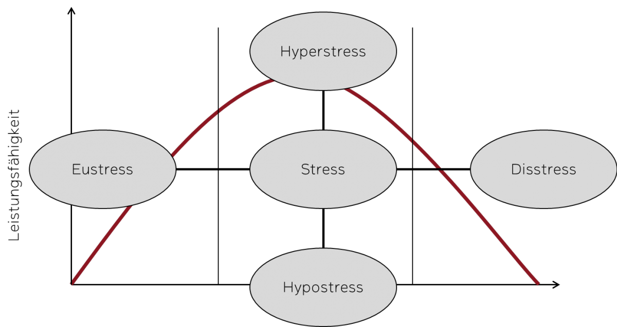 Stress Arten Auswirkungen Und Vermeidungsstrategien